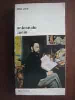 Emile Zola - Saloanele mele
