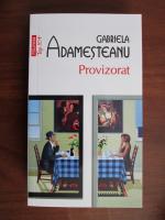 Gabriela Adamesteanu - Provizorat