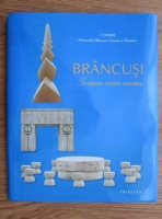 Anticariat: Daniel, Partriarhul Bisericii Ortodoxe Romane - Brancusi, sculptor crestin ortodox