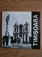 Gabriel Radulescu - Timisoara