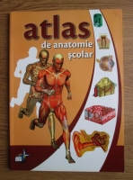 Violeta Vlad - Atlas de anatomie. Anatomia omului 
