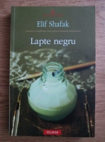 Elif Shafak - Lapte negru. Despre scris, conditia de mama si haremul interior
