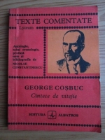 George Cosbuc - Cantece de vitejie (texte comentate)
