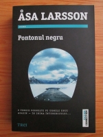 Anticariat: Asa Larsson - Pontonul negru
