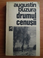 Augustin Buzura - Drumul cenusii
