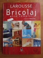 Michel Galy - Larousse. Bricolaj. Ghid complet