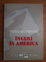 Anticariat: Tony Kushner - Ingeri in America