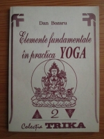 Anticariat: Dan Bozaru - Elemente fundamentale in practica yoga