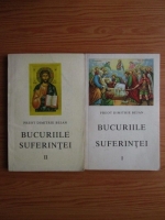 Dimitrie Bejan - Bucuriile suferintei (2 volume)