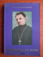 Dimitrie Bejan - Vifornita cea mare (volumul 3)