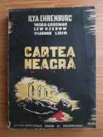 Ilya Ehrenburg - Cartea neagra (volumul 1)