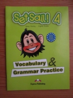 Jenny Dooley, Virginia Evans - Set sail 4. Vocabulary and grammar practice