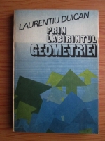 Anticariat: Laurentiu Duican - Prin labirintul geometriei