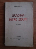 Ion Pillat - Gradina intre ziduri. Poezii (1920)