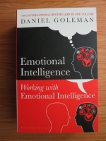 Daniel Goleman - Emotional intelligence working with emotional intelligence