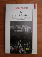 Mihail Neamtu - Bufnita din daramaturi. Insomnii teologice in Romania postcomunista