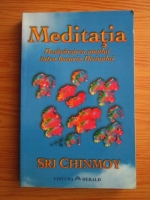 Sri Chinmoy - Meditatia. Desavarsirea omului intru bucuria Divinului