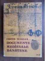 Costin Fenesan - Documente medievale banatene