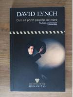 David Lynch - Cum sa prinzi pestele cel mare