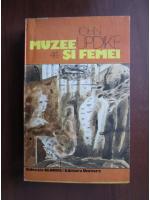 John Updike - Muzee si femei