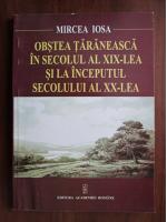 Mircea Iosa - Obstea taraneasca in secolul al XIX-lea si la incepetul secolului al XX-lea
