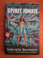 Gabrielle Bernstein - Spirit Junkle. A Radical Road to Self-Love and Miracles