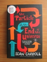 Sean Carroll - The particle at the end of the universe
