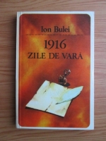 Anticariat: Ion Bulei - 1916 zile de vara