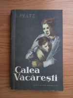 Isac Peltz - Calea Vacaresti