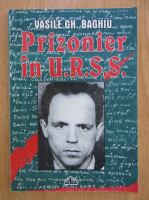Vasile Gh. Baghiu - Prizonier in URSS