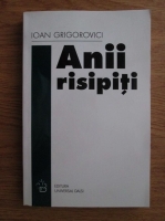 Ioan Grigorovici - Anii risipiti