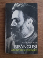Petre Pandrea - Brancusi. Amintiri si exegeze