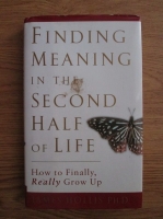 James Hollis - Finding meaning in the second half of life. How to finally really grow up