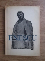Anticariat: Andrei Tudor - Enescu