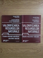 Gheorghe Preda - Cresterea eficientei valorificarii resurselor naturale (2 volume)