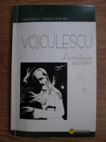 Anticariat: Vasile Voiculescu - Antologie scolara