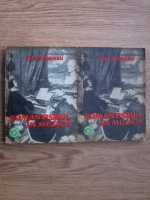 Anticariat: Ada Brumaru - Romantismul in muzica (2 volume)