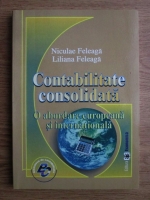 Niculae Feleaga, Liliana Feleaga - Contabilitate consolidata. O abordare europeana si internationala