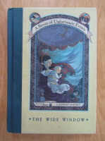 Lemony Snicket - The wide window