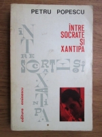 Anticariat: Petru Popescu - Intre Socrate si Xantipa