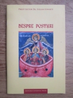 Stelian Ionascu - Despre posturi