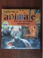 Cartea mea cu animale. Pui de animale salbatice