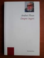 Anticariat: Andrei Plesu - Despre ingeri