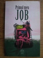 Florin Dumitrescu - Primul meu job