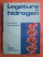 Anticariat: Ilie I. Badilescu, Simona Badilescu - Legatura de hidrogen