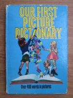 Our first picture dictionary