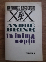 Anticariat: Andre Brink - In inima noptii
