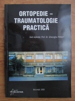 Anticariat: Gheorghe Panait - Ortopedie-traumatologie practica