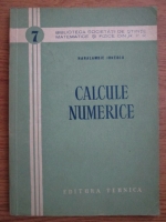 Haralambie Bica Ionescu - Calcule numerice