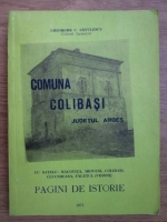 Gheorghe C. Savulescu - Comuna Colibasi, judetul Arges
